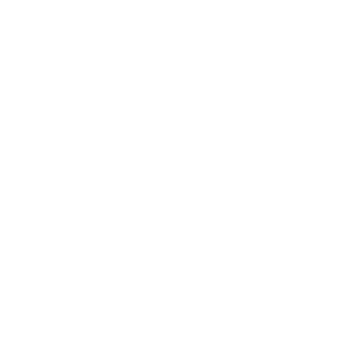 DIVERSITY, EQUITY, INCLUSION ADVISORY